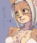  chest_tuft feline female japanese_text petaroh portrait solo tiger 