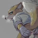  anus bent_over blush breath butt canine fox fox_mccloud green_eyes looking_at_viewer male orange raised_tail solo spreading star_fox sweat tail unknown_artist video_games 