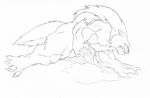  balls canine claws cum cumshot eyes_closed fangs male masturbation messy muscles nude orgasm penis sketch solo tkc2021 wolf 