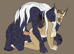  ayelet aylie bagheera_(fursona) breasts couple doggy_position droopy_breasts feline female from_behind hair leopard lynx male penis sex straight white_hair 