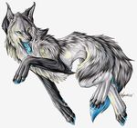  canine lyanti solo tagme wolf 