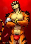  bulge eye_patch feline humbuged male solo tiger 