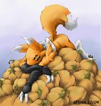  canine digimon female fox orange pumpkin renamon snoot solo 