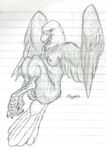  avian breasts eagle female sketch solo windpaw 