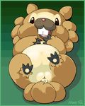  anus beaver bidoof brown_eyes buckteeth chubby female feral looking_at_viewer lying mammal moroq nintendo on_back paws pok&#233;mon pok&eacute;mon pussy rodent smile solo tail video_games 