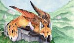  ambiguous_gender canine forest fox looking_at_viewer lyanti orange tree wings 