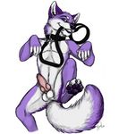  belly canine collar dog erection grin hindpaw husky knot leash lying male mammal offering on_back paws penis pet pkay plain_background purple purple_body solo speed speed_(artist) white_background 