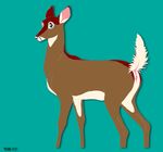  2007 cervine deer female feral hooves pussy raised_tail randy_muledeer solo tail 