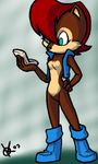  chipmunk female kenfoxx mobian oekaki sally_acorn sega solo sonic_(series) 