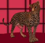  3d barbs erection feline feral hyper hyper_penis leopard male penis red solo 