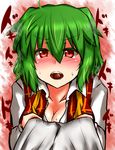  blush breasts chocolate cleavage colored_eyelashes green_hair kazami_yuuka medium_breasts mouth_hold plaid plaid_vest red_eyes roki_(hirokix) shirt_pull solo sweat touhou untied vest 