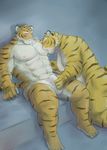  biceps big_muscles body_markings bulge chubby fat feline gay grope incest licking male mammal manya markings muscles overweight pecs rubbing sitting stripes tiger tongue 