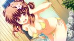  bikini blush brown_eyes brown_hair cleavage game_cg hoshi_no_ouji-kun purin_amanatsu qp:flapper swimsuit 