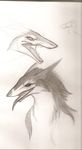  bananapaws sergal sketch solo tagme 