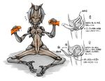  88148823 claws cross_section female handjob insect masturbation monstergirl precum what 