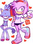  anthro blaze_the_cat blush duo feline female hedgehog mammal panties sega shy sonic_(series) underwear unknown_artist 