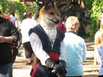  canine fox fursuit garb hi_res mammal real renaissance_faire reynard swindlehurst sword unknown_artist weapon 