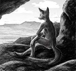  back canine cave distance everruler female nude plains solo wolf 