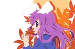  animal_ears autumn ayasugi_tsubaki bunny_ears leaf maple_leaf purple_eyes purple_hair reisen_udongein_inaba solo touhou 
