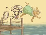  annamarie bicycle crash flying lagomorph mammal meesh ocean rabbit scream screaming sea water 