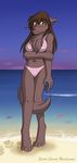  beach brown_hair canine chest_tuft female fur hair heterochromia keidran long_brown_hair long_hair mammal natani natani_(twokinds) navel seaside solo standing tail tom_fischbach tuft twokinds wolf 