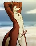  beach claw_necklace erection male necklace nude otter penis redclaw_the_otter seaside sheath shiuk solo tattoo tribal 