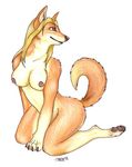  2008 breasts canine dingo dog female korrok nude raised_tail solo tail white_background 