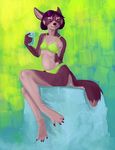  block canine clothed clothing drink female green hair ice mammal mistresssparkles purple_hair sitting skimpy solo swimsuit 