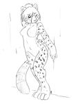  cheetah feline female monochrome nude solo unknown_artist 