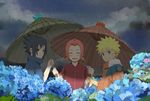  2boys black_hair blonde_hair blue_eyes blush closed_eyes eyes_closed flower haruno_sakura hydrangea male multiple_boys n_y naruto pink_hair rain short_hair smile taiyo team7 uchiha_sasuke umbrella uzumaki_naruto whisker_markings 