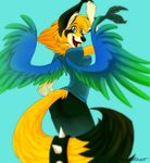  clothed clothing color ears feathers female manda_panda pants sefeiren shirt solo spikes stripes synchra tail tongue wings 
