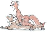  balls bjsnobear canine eyes_closed female fox from_behind male nude sex sherwood straight 