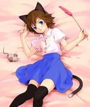 animal_ears bad_id bad_pixiv_id blue_eyes brown_hair cat_ears cat_tail crossdressing face fideo_aldena highres inazuma_eleven inazuma_eleven_(series) male_focus mouse otoko_no_ko short_hair solo tail thighhighs yukasummer 
