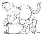  butt canine inflation meanbean wolf 