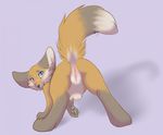  anus breasts butt canine clitoris edit female feral fox looking_at_viewer looking_back looking_over_shoulder mammal mooning plump_labia presenting presenting_hindquarters pussy raised_tail solo tail tassy 