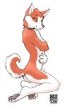  adam_wan butt canine collar cute hindpaw kneeling looking_at_viewer male nude orange raised_tail sheath shiba_inu shy solo tail 