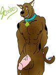  canine dog gdogg male nude penis scooby-doo scooby-doo_(series) solo 