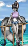  black_hair canine cutoffs daisy_dukes denim_shorts female fox grey grey_eyes hair hybrid looking_at_viewer midriff navel ocean outside raccoon railing sai_(character) short skimpy solo sonique tank_top white 