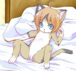  bed blonde_hair blue_eyes cat cub feline female hair kurogitsune on_back paws pillow pose pussy short_hair solo tail 