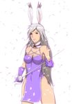  1girl animal_ears bunny_ears dress female fencer final_fantasy final_fantasy_tactics_a2 final_fantasy_tactics_advance final_fantasy_xii highres rapier simple_background solo sword viera weapon white_background 