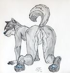  all_fours anus canine female looking_at_viewer nude presenting pussy raised_tail solo sookta tail wolf 