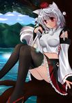  animal_ears bird black_legwear breasts detached_sleeves fule hat highres impossible_clothes impossible_shirt inubashiri_momiji large_breasts mystia_lorelei mystia_lorelei_(bird) red_eyes shirt short_hair silver_hair solo tail thighhighs tokin_hat touhou wolf_ears wolf_tail 