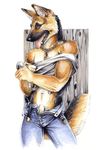  canine dog german_shepherd male necklace sheath solo tail tongue undressing 