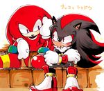  japanese_text knuckles_the_echidna sega shadow_the_hedgehog sonic_(series) translated urahyu 