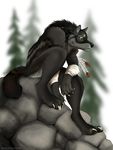  anthro black black_fur blackteagan canine canis claws feathers forest fur lupus male mammal rock solo stare tree wolf wood 