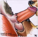  ball_fondling ball_sucking balls canine collaboration decaf foxxfire male oral penis threesome 