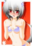  animal_ears bikini blush engo_(aquawatery) fang highres inubashiri_momiji navel red_eyes short_hair silver_hair solo swimsuit tail touhou wolf_ears wolf_tail 