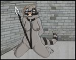  ball_gag bdsm bondage breasts collar female gag kneeling leash nude pussy pussy_floss raccoon rhari solo 