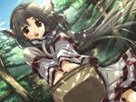  ainu_clothes amazuyu_tatsuki animal_ears basket brown_eyes brown_hair dappled_sunlight day dutch_angle eruruw field floating_hair forest game_cg hair_tubes holding layered_sleeves leaf_(studio) looking_at_viewer nature open_mouth sky solo sunlight tree utawareru_mono 