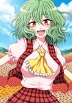  :d ascot blouse blush breasts field flower flower_field green_hair happy kazami_yuuka large_breasts looking_at_viewer mokku open_mouth outstretched_arms plaid plaid_skirt plaid_vest red_eyes short_hair skirt skirt_set smile solo spread_arms touhou vest wavy_hair 